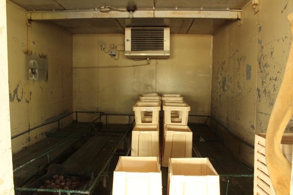 Medium property photo - Achterdiep Noordzijde, 9611 BT Sappemeer